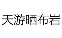 武夷山市天游曬布巖茶廠